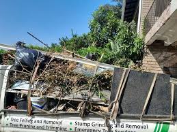 Trusted Afton, WY Junk Removal Services Experts