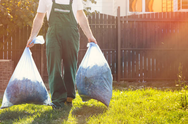 Best Carpet Removal and Disposal  in Afton, WY